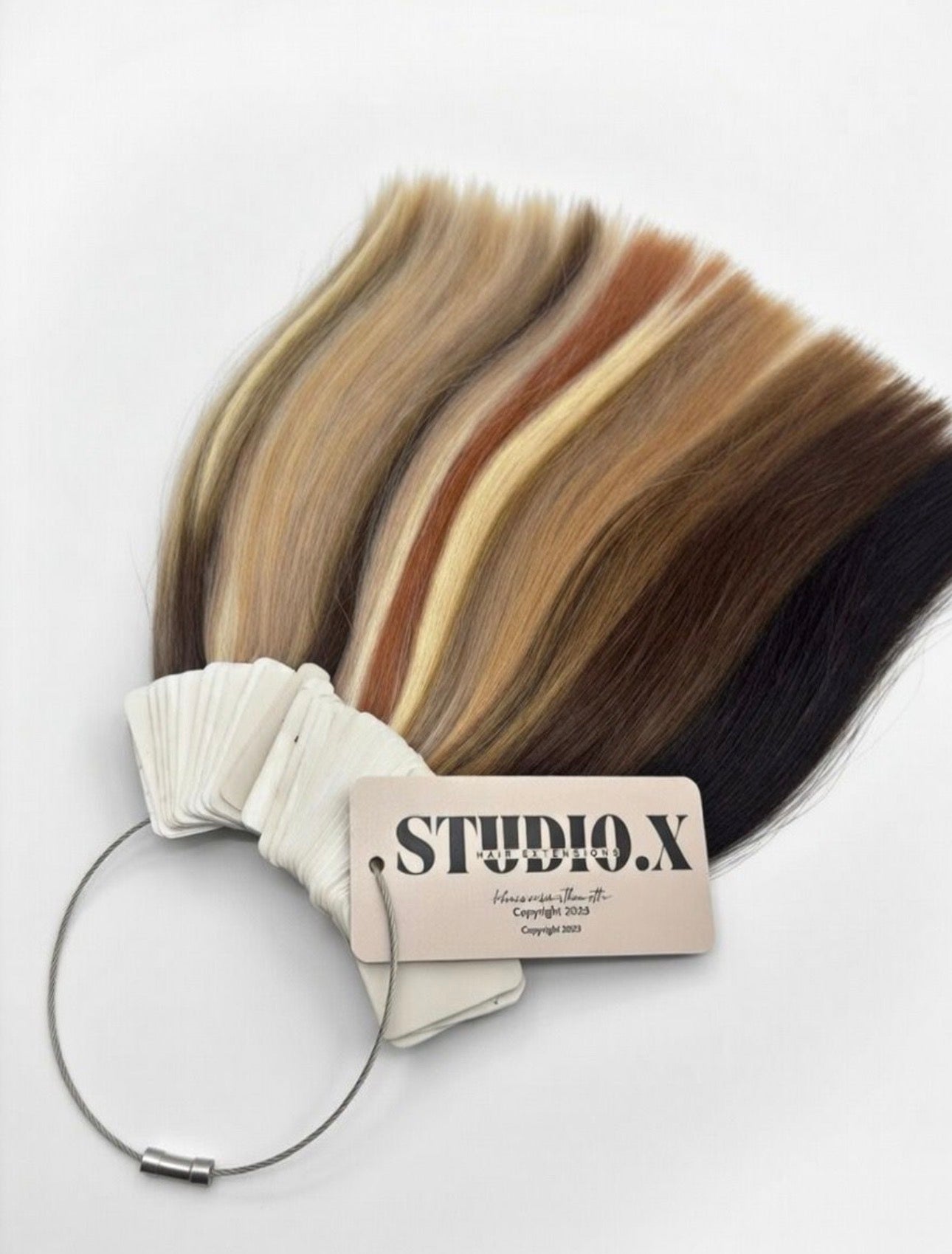 Studio X Professional Colour Wheel