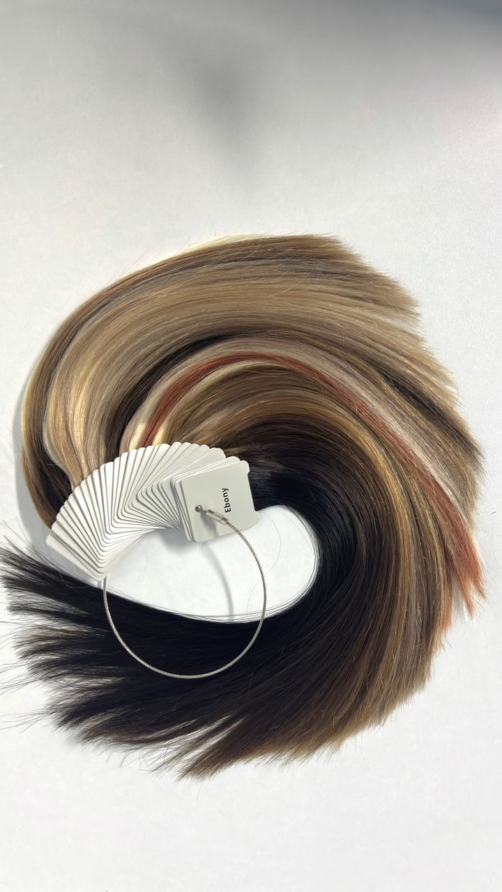 Studio X Professional Colour Wheel